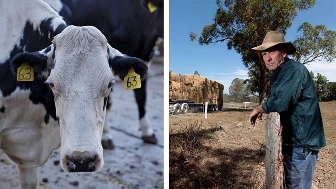 Country Valley's John Fairley