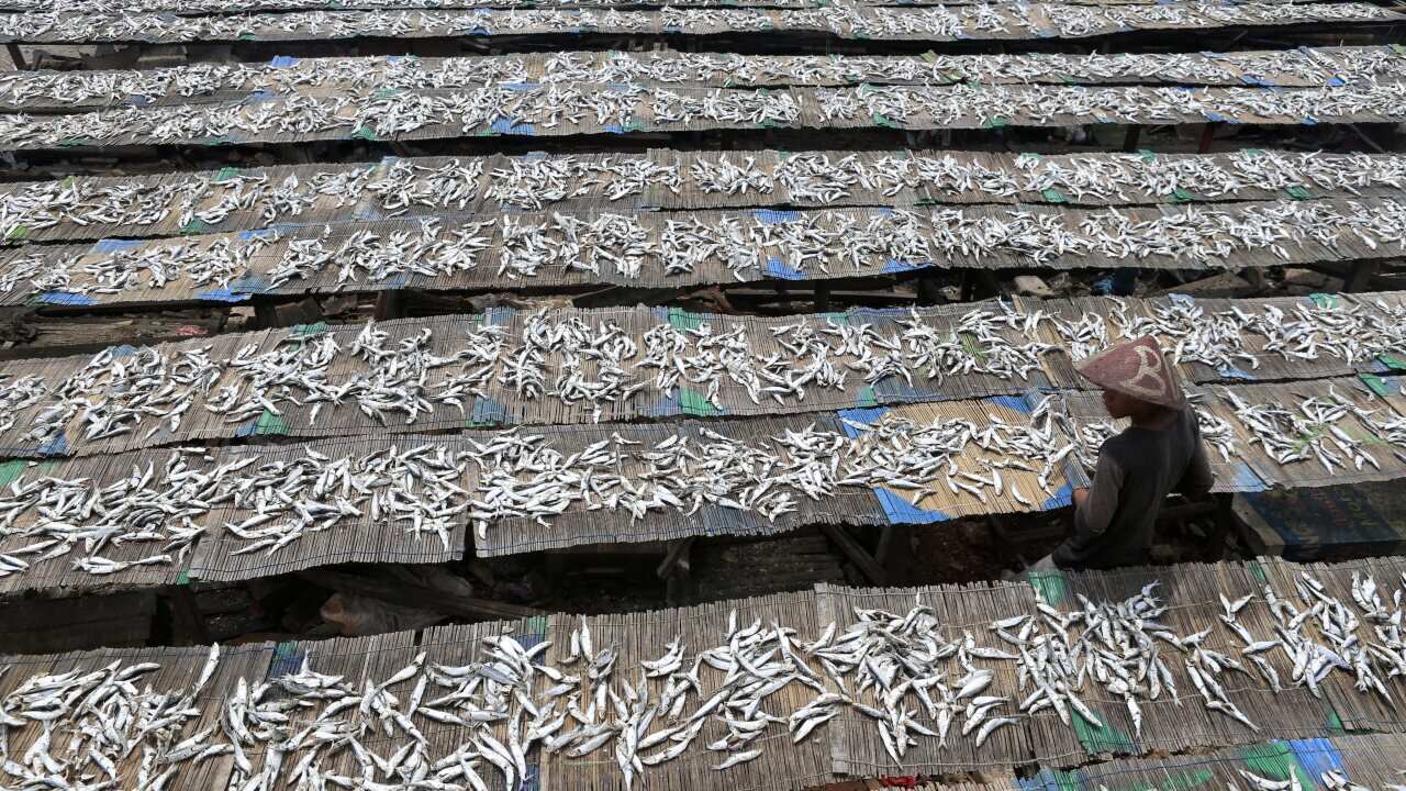 epaselect INDONESIA ECONOMY