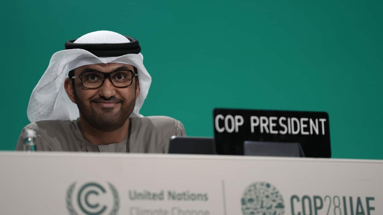 COP28 Climate Summit