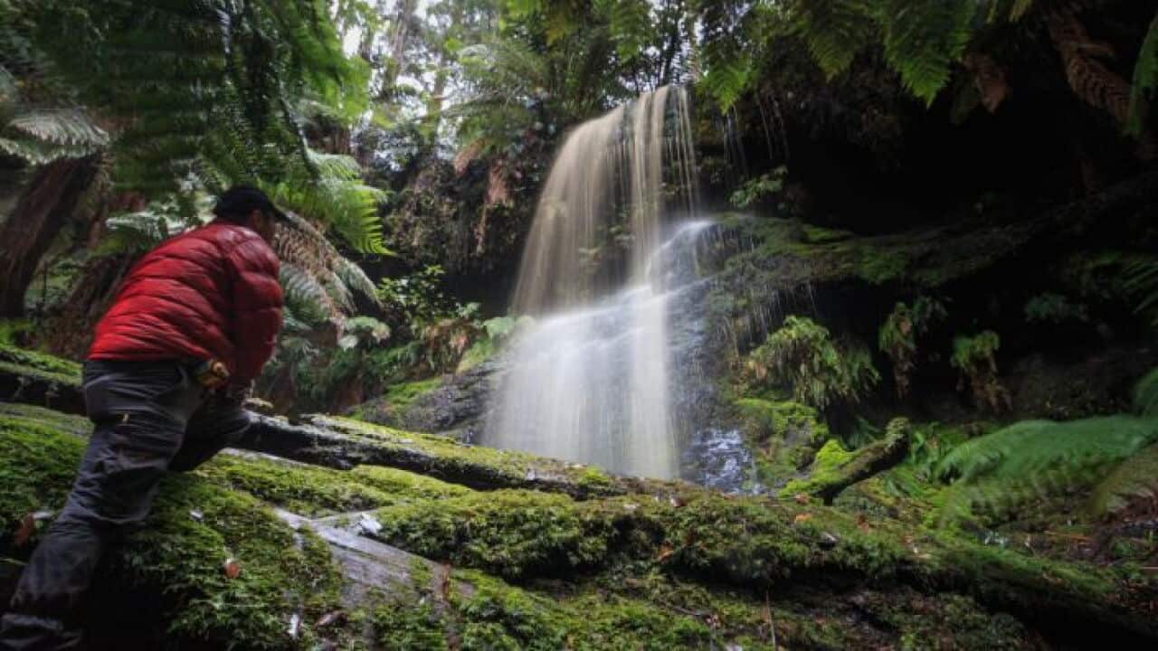 Graig Doumouras at his Tasmanian waterfalls quest