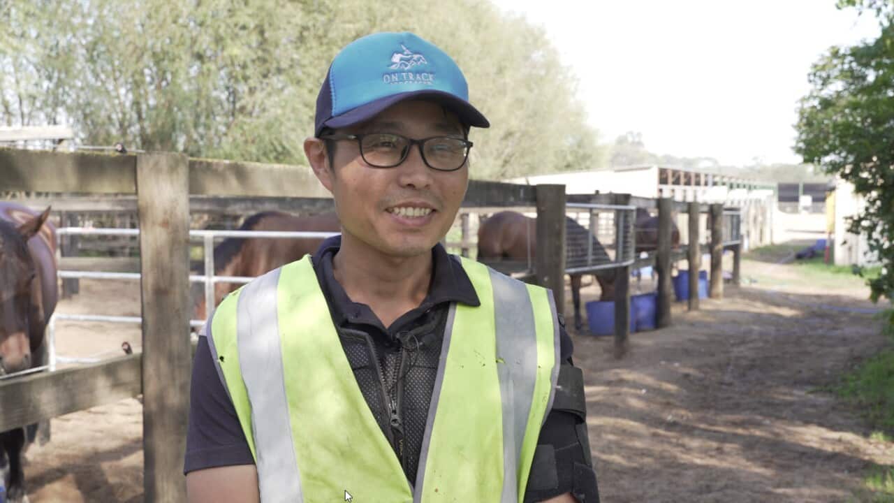 Image for read more article ''