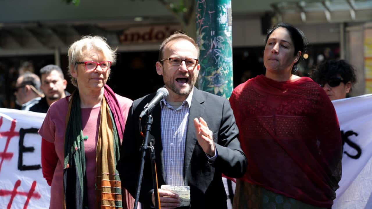 Deputy Greens leader Adam Bandt (centre) addresses protesters at a rally outside the State Library of Victoria