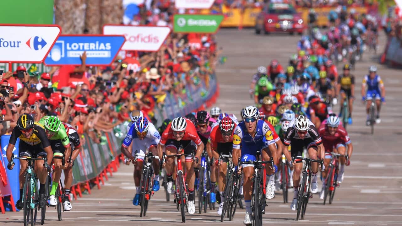 Matteo Trentin-QuickStep floors, Vuelta a España