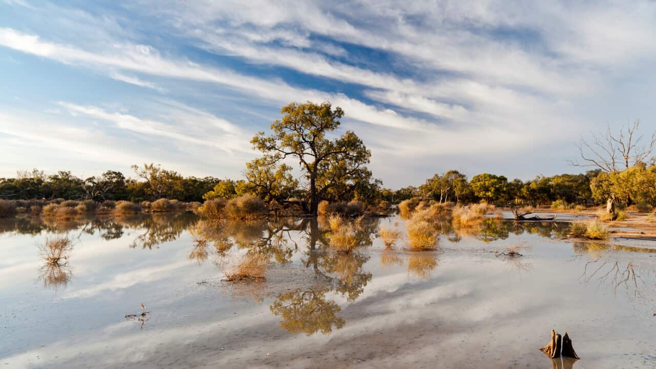 The Hattah lake system in the Mallee Region of Victoria, Australia.