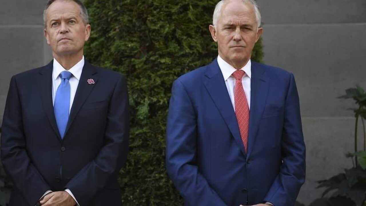 Bill Shorten and Malcolm Turnbull