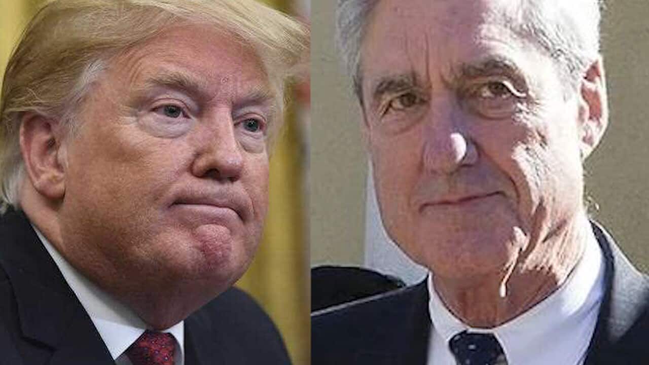 Donald Trump says Robert Mueller should not testify on the probe.