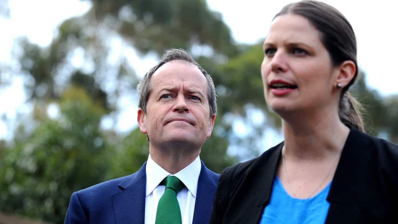 Labor backs disability schooling review