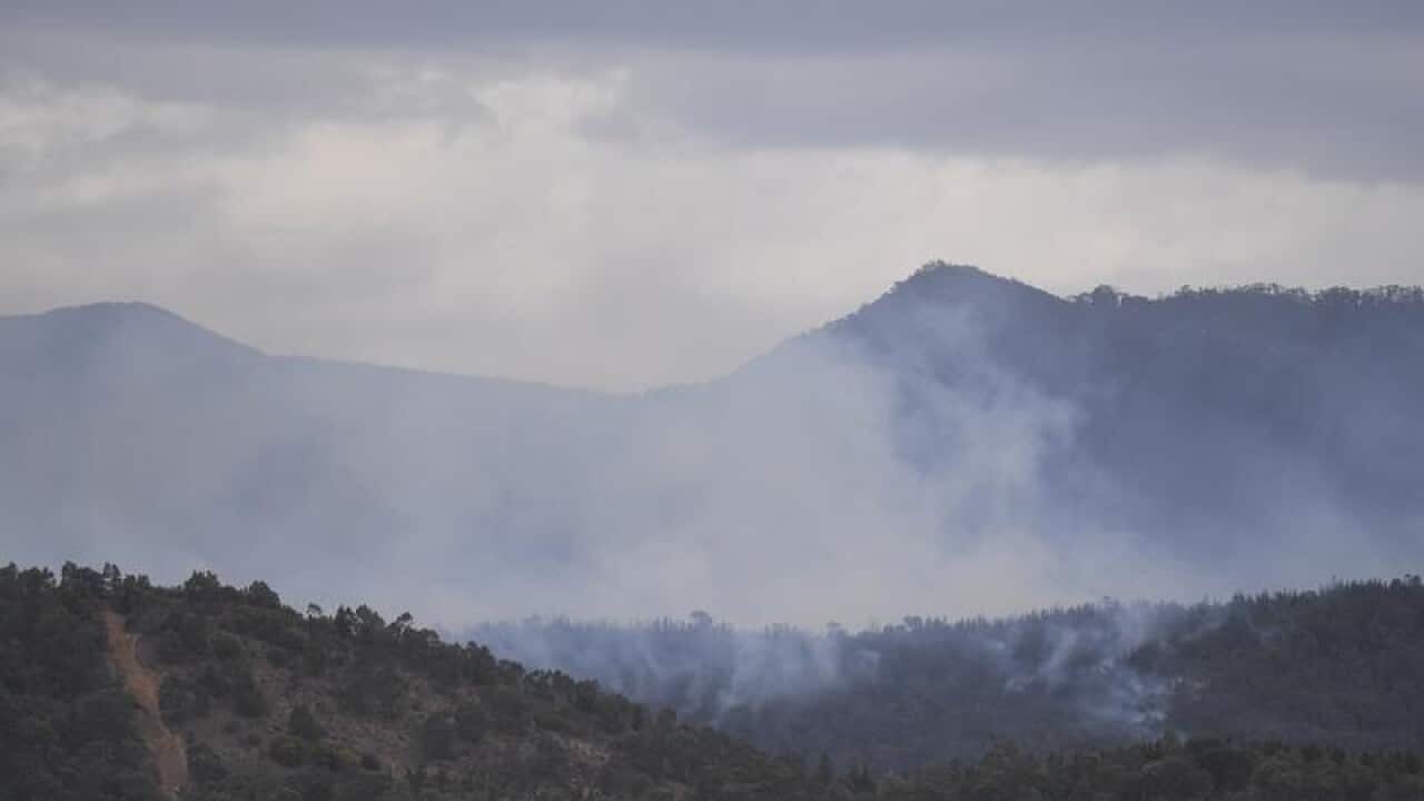 Pierces Creek bushfire