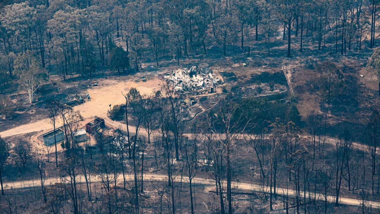 More than half a million hectares have been burnt in Victoria's destructive East Gippsland fires.