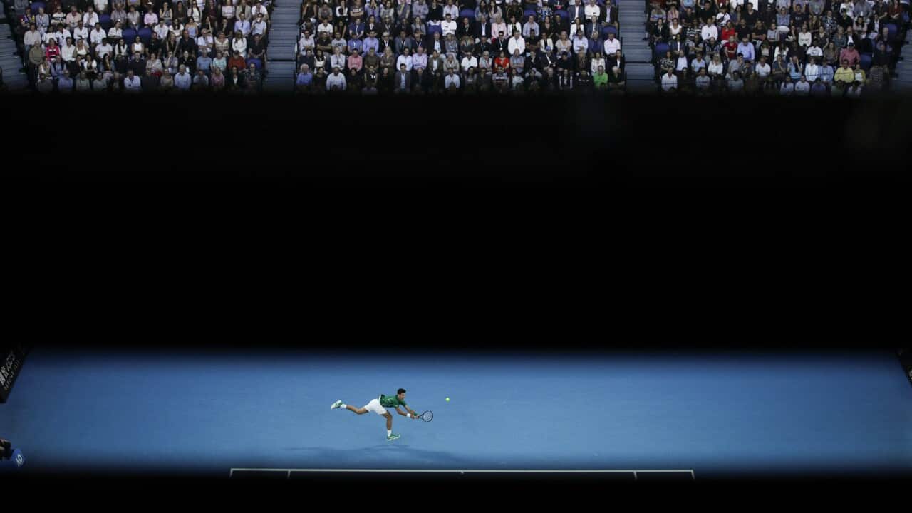 Novak Djokovic at the Australian Open