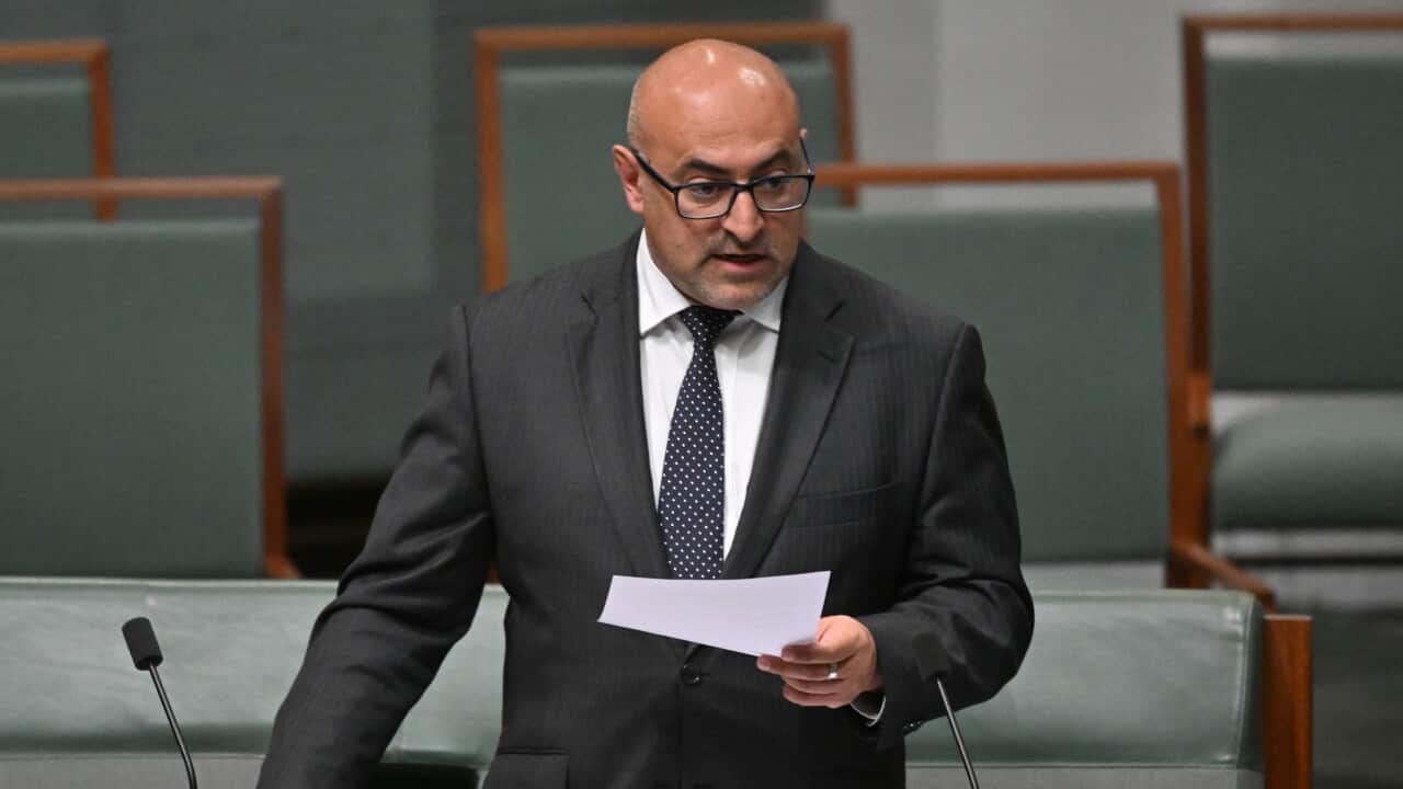 PETER KHALIL SECURITY INTELLIGENCE REPORT