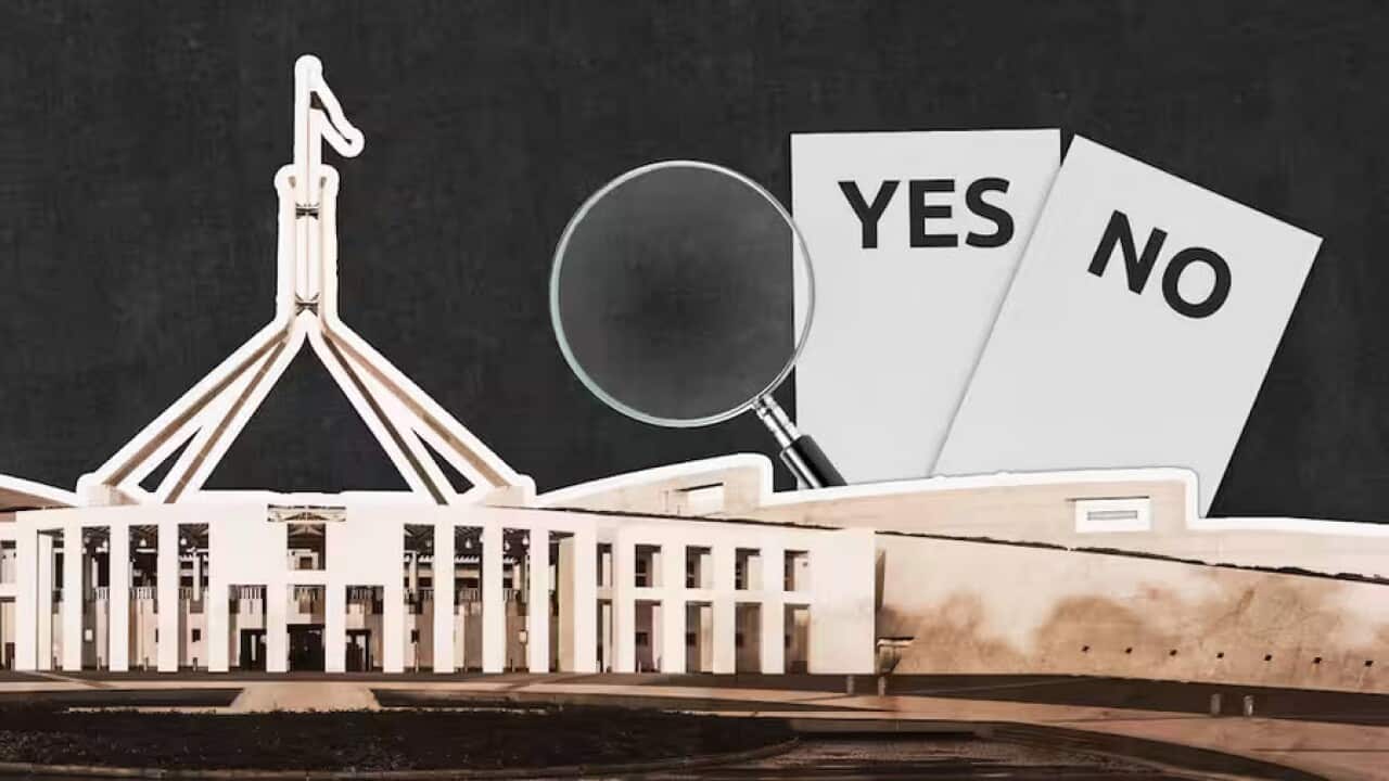 YES NO referendum.jpg