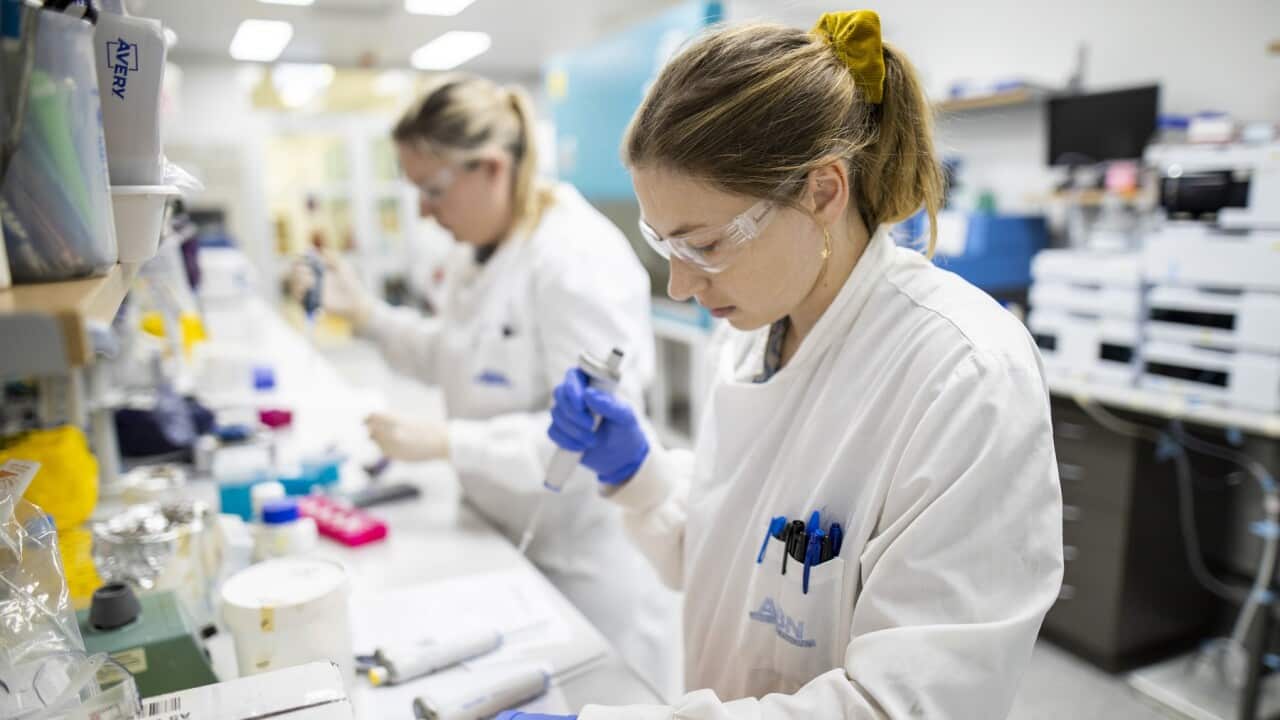 Two team members pipetting