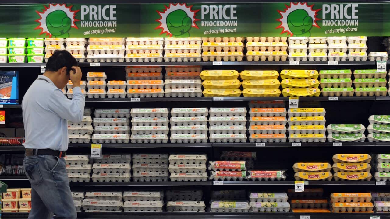 A shopper inspects eggs inside a Woolworths
