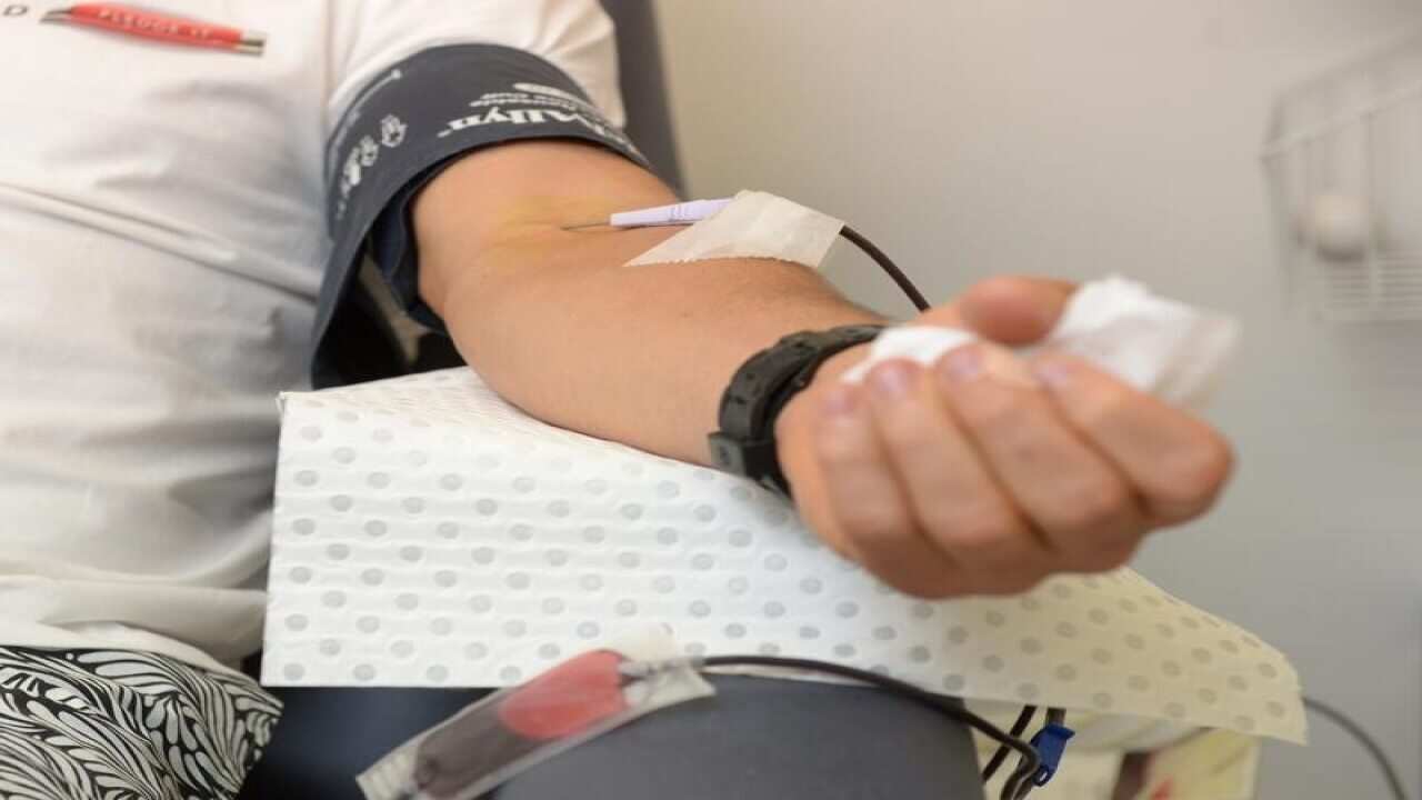 A person gives blood.