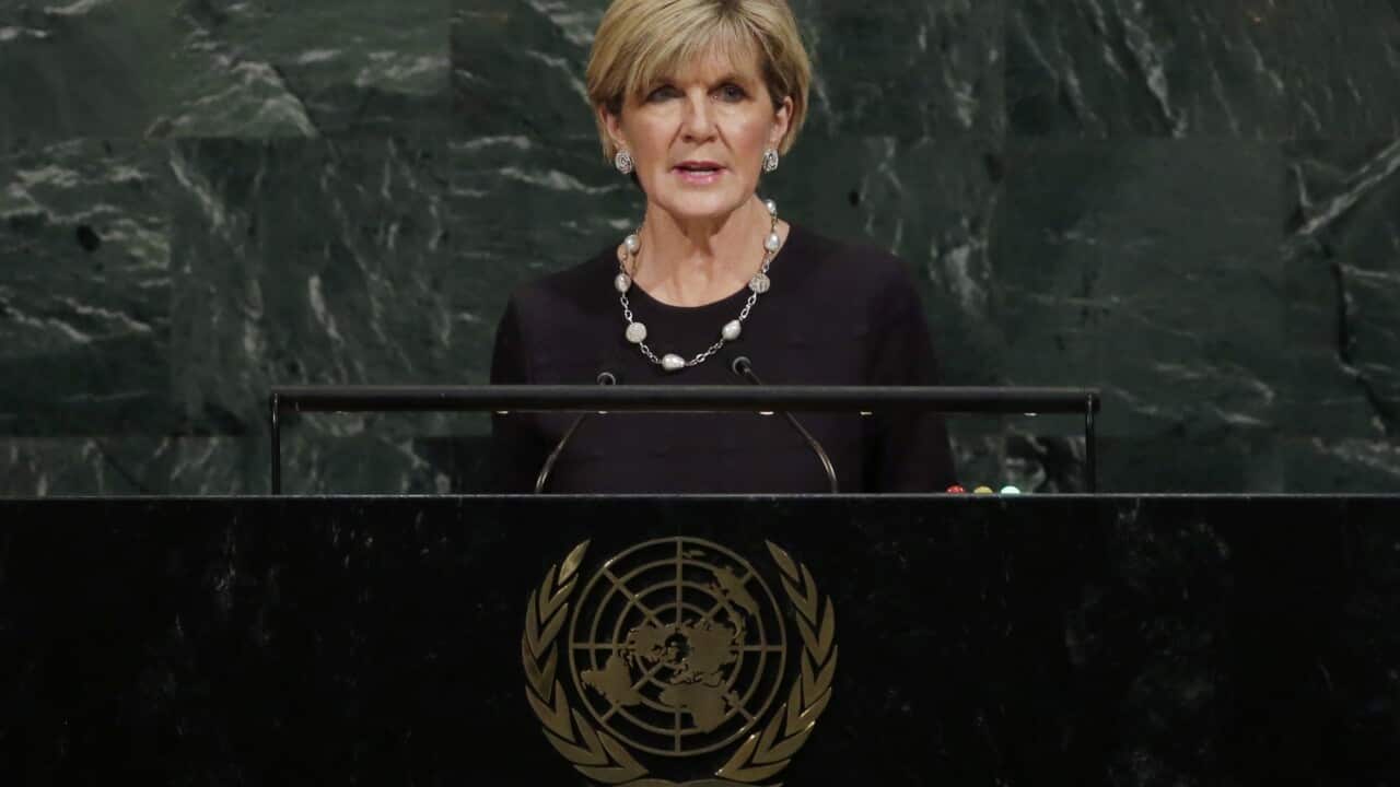 Foreign Minister Julie Bishop addresses the United Nations General Assembly.