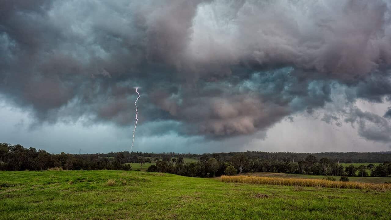 QLd wild weather