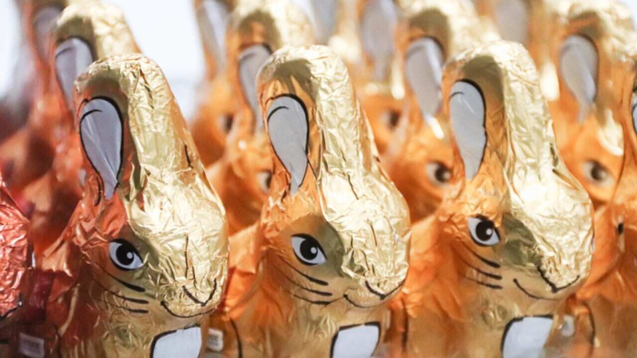 Easter bunny chocolate