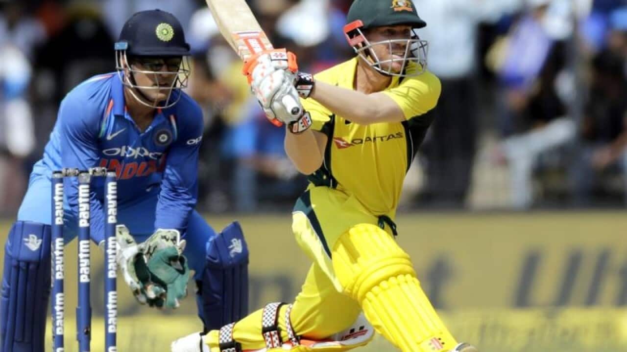 cricket