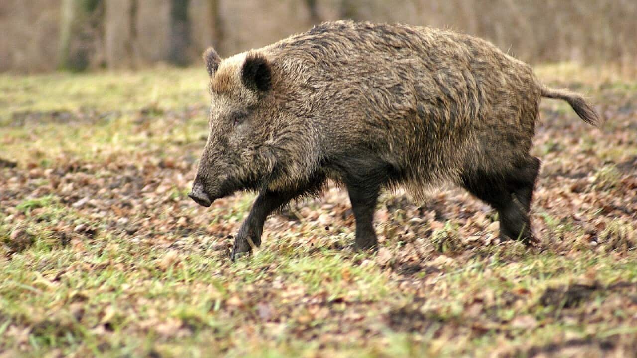 Image for read more article ''