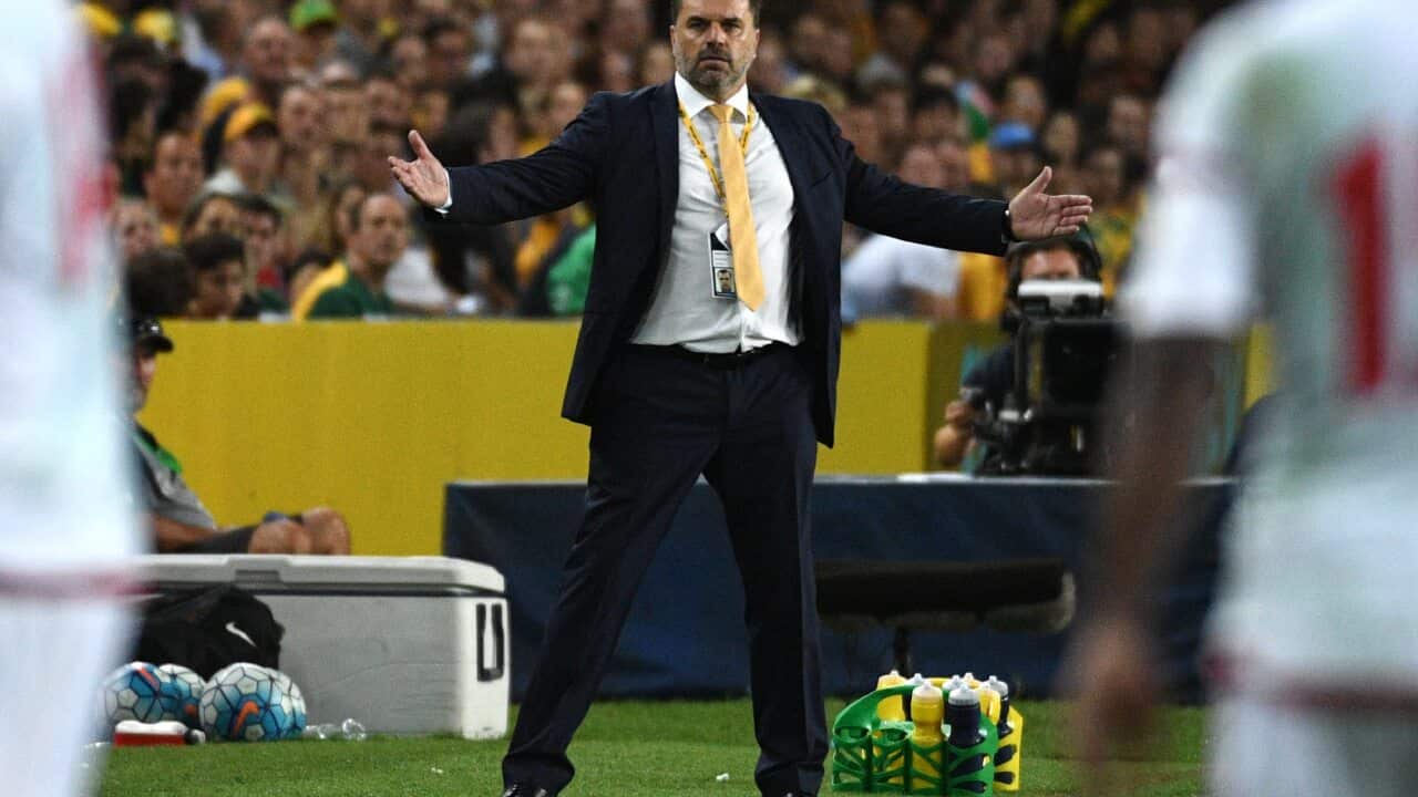 Ange Postecoglou