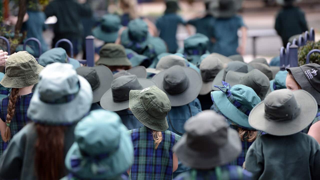 SCHOOL KIDS - AAP uncropped.jpg