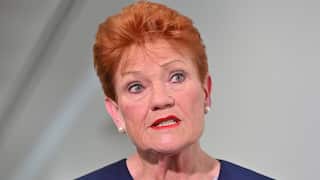 One Nation Leader Pauline Hanson speaks to journalists in the Press Gallery at Parliament House in Canberra, Tuesday, September 15, 2026.
