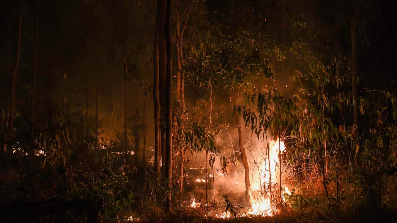 A small fire burning in a forest