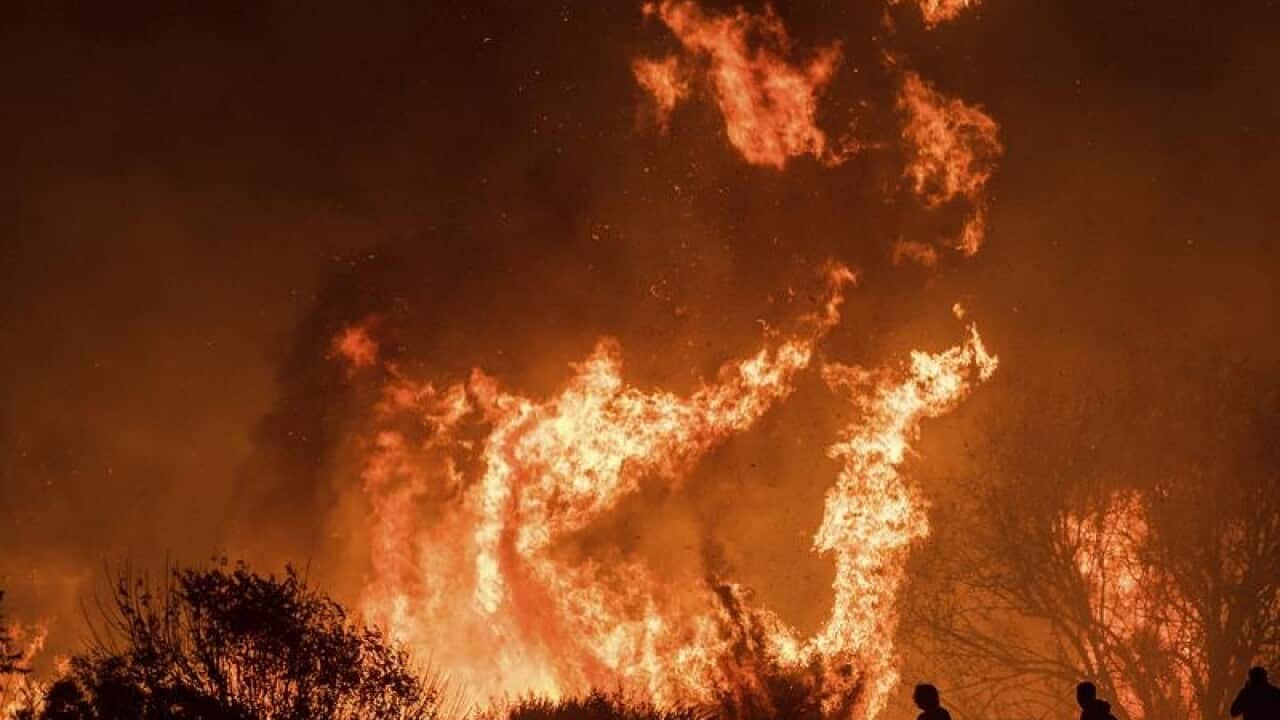 Clifornia fires