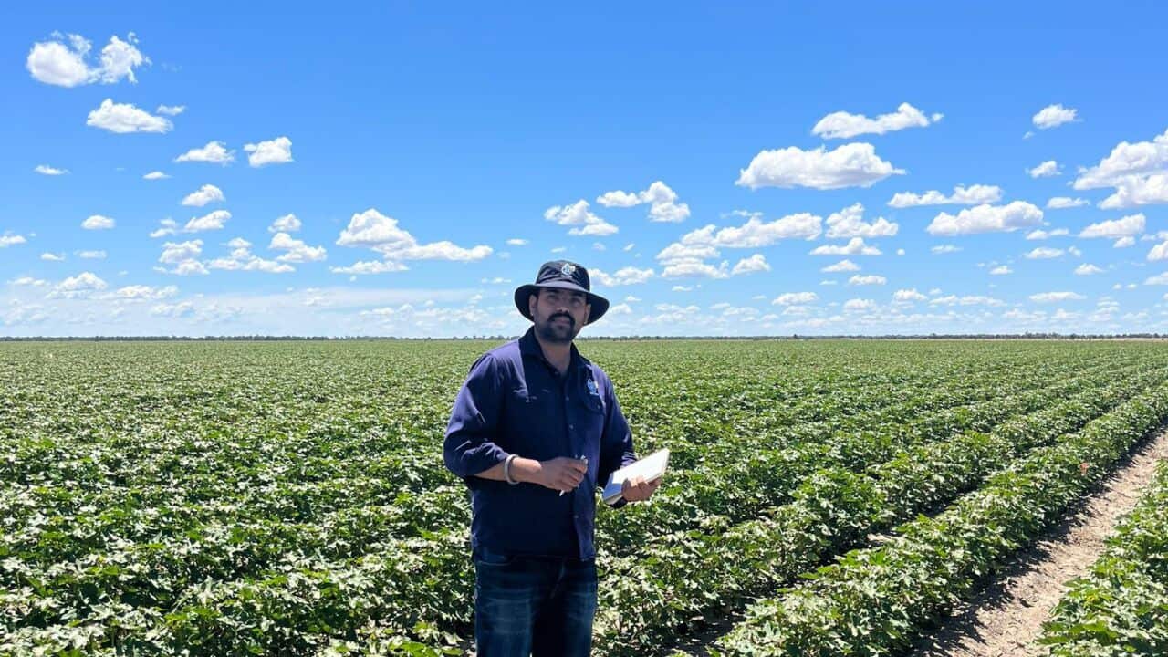 WhatsApp Image 2024-04-23 at 9.47.28 AM.jpeg