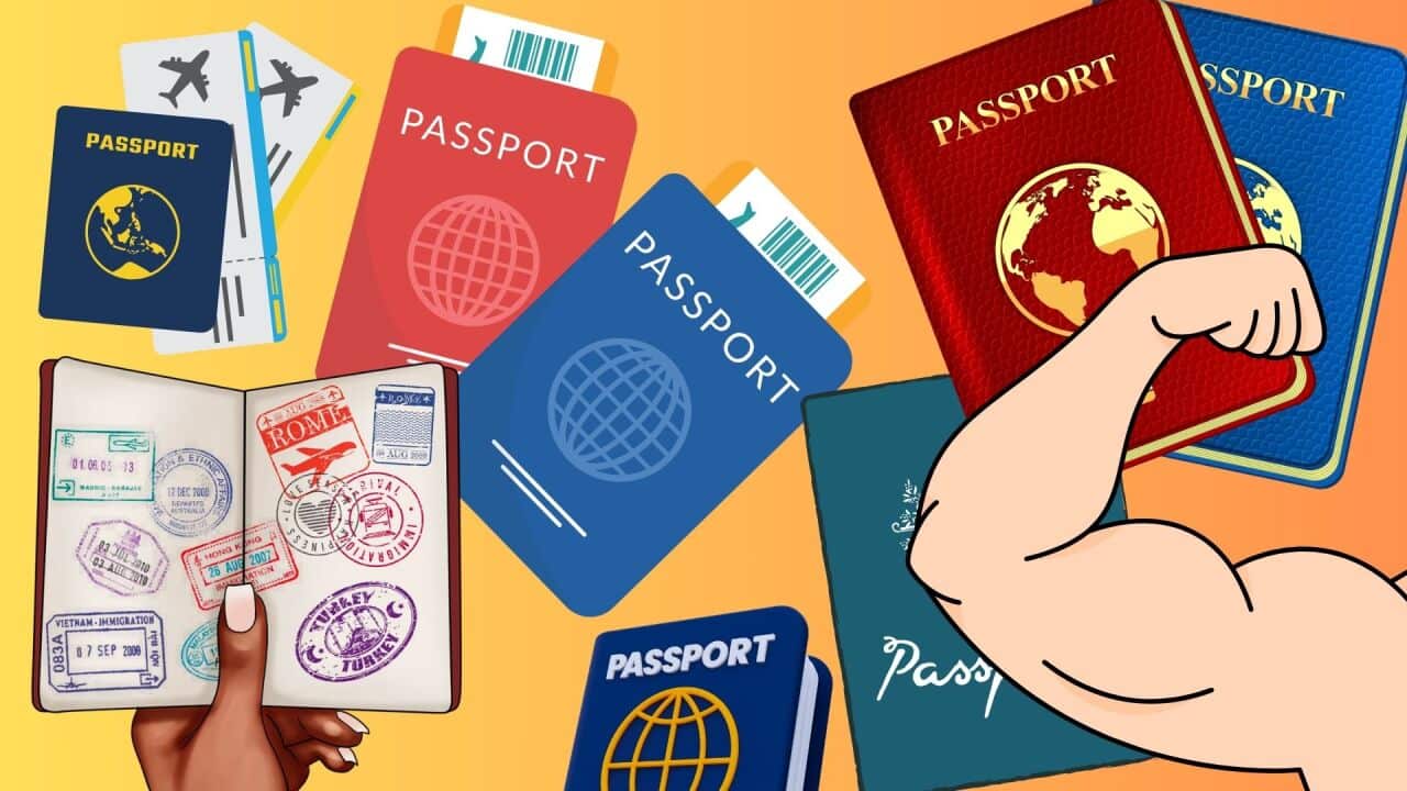 Passports design.jpg