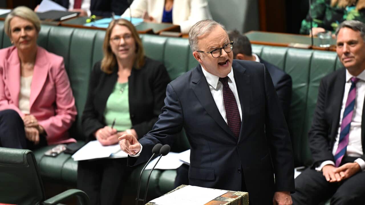 Anthony Albanese speaking in the House of Representatives