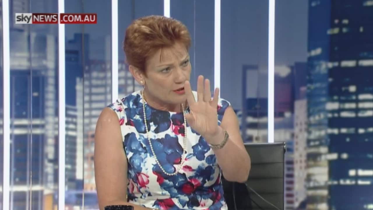 Hanson made the comments on Sky News.