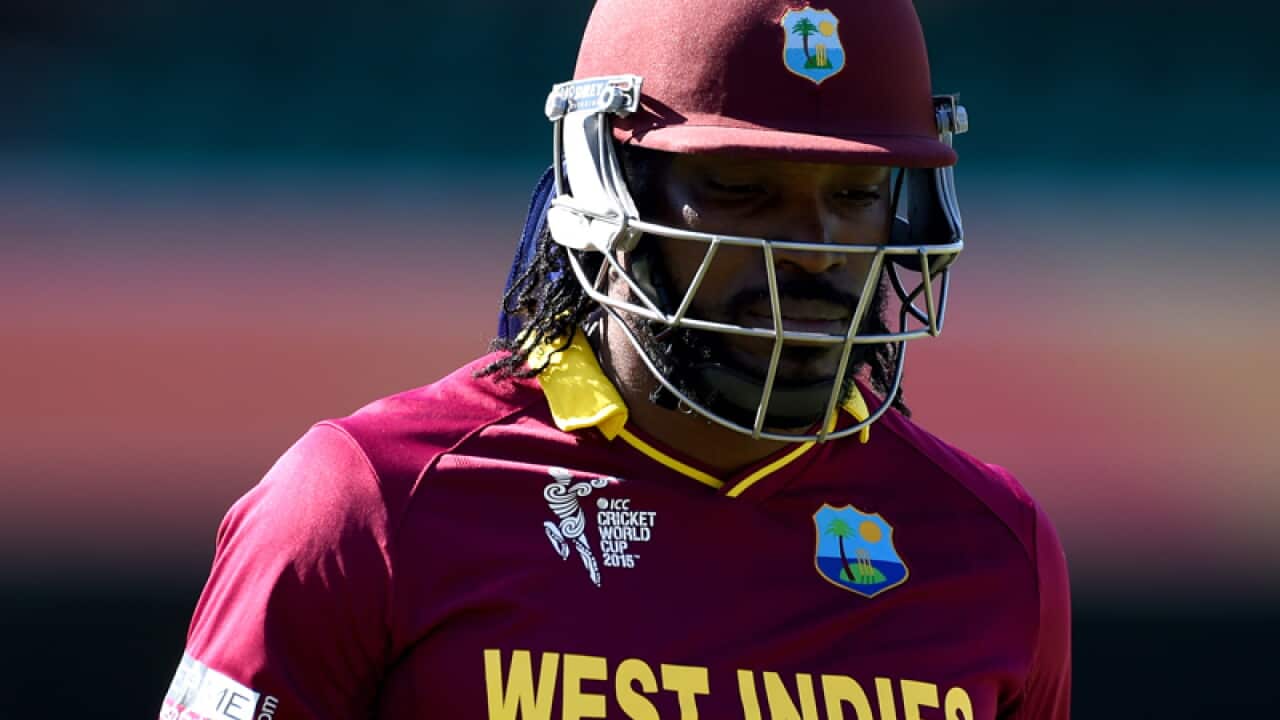 West Indies star Chris Gayle