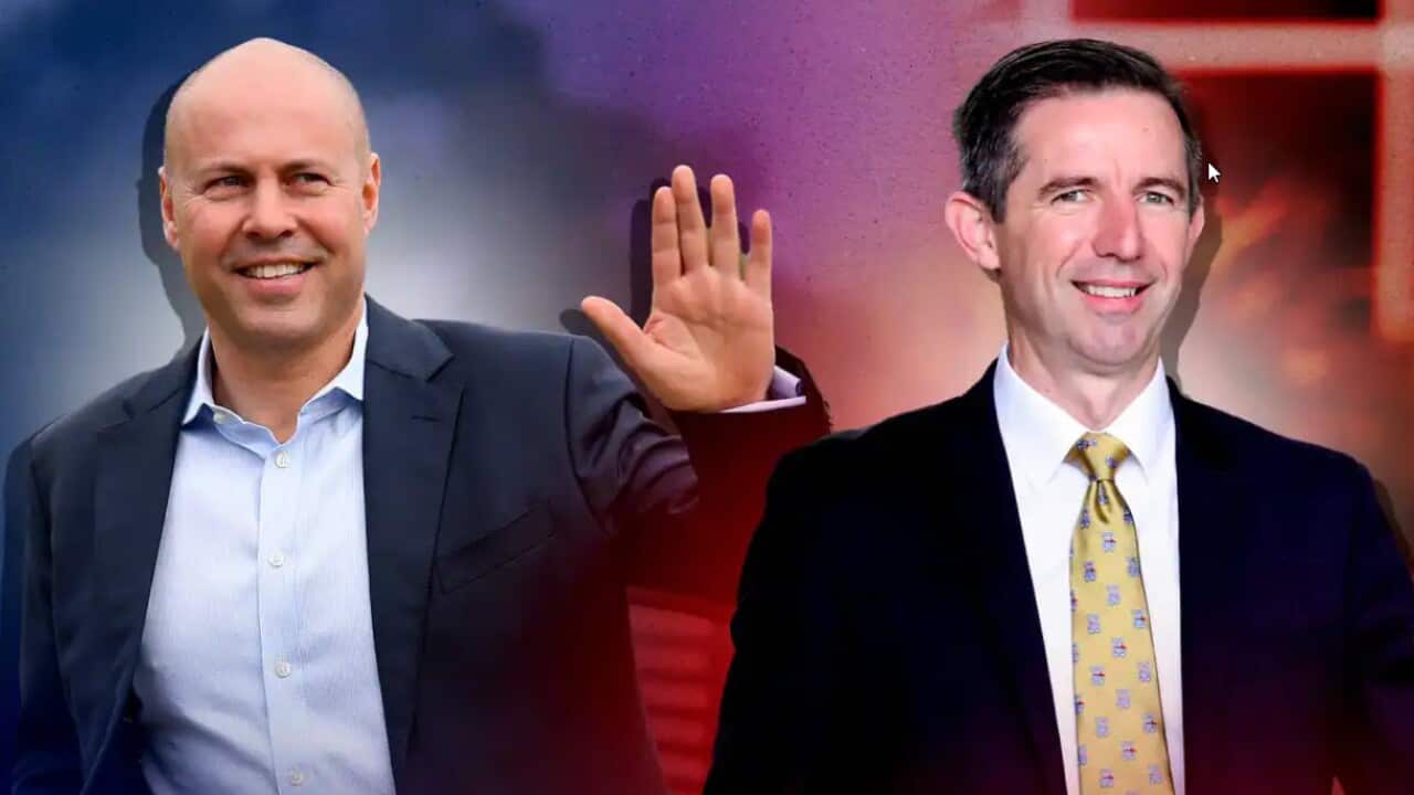 Image for read more article ''