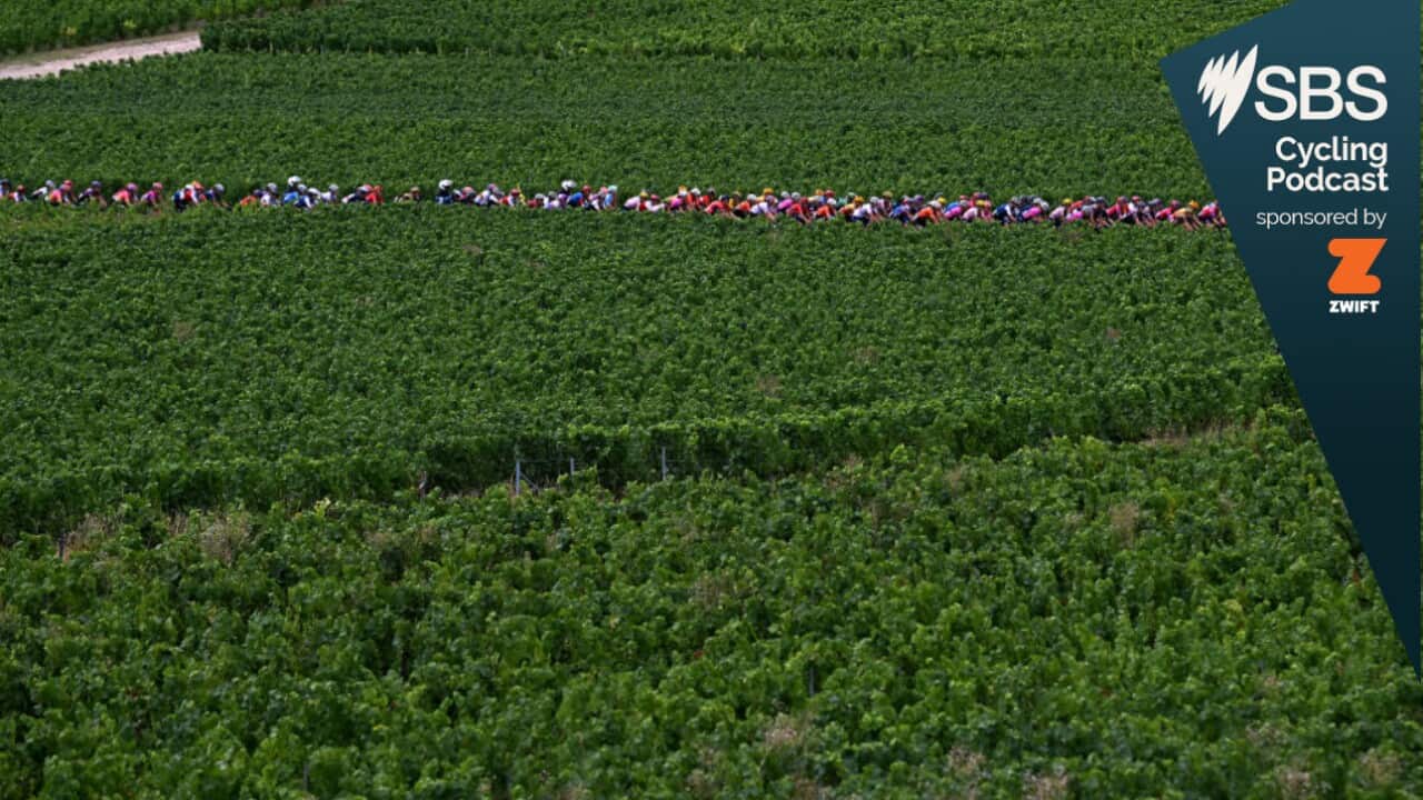 The Tour de France Femmes visits the Champagne Region on stage 3