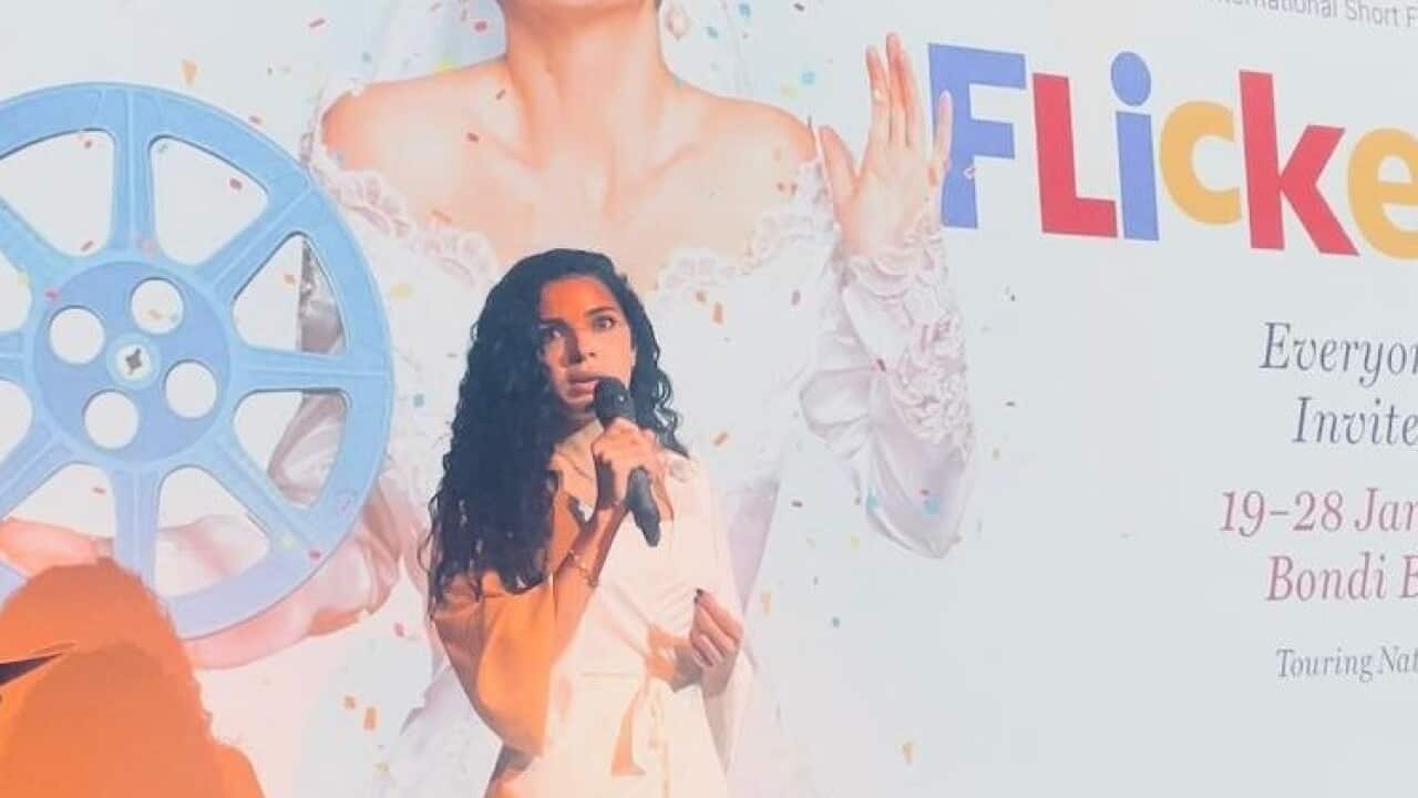 Alaa 2.jpg