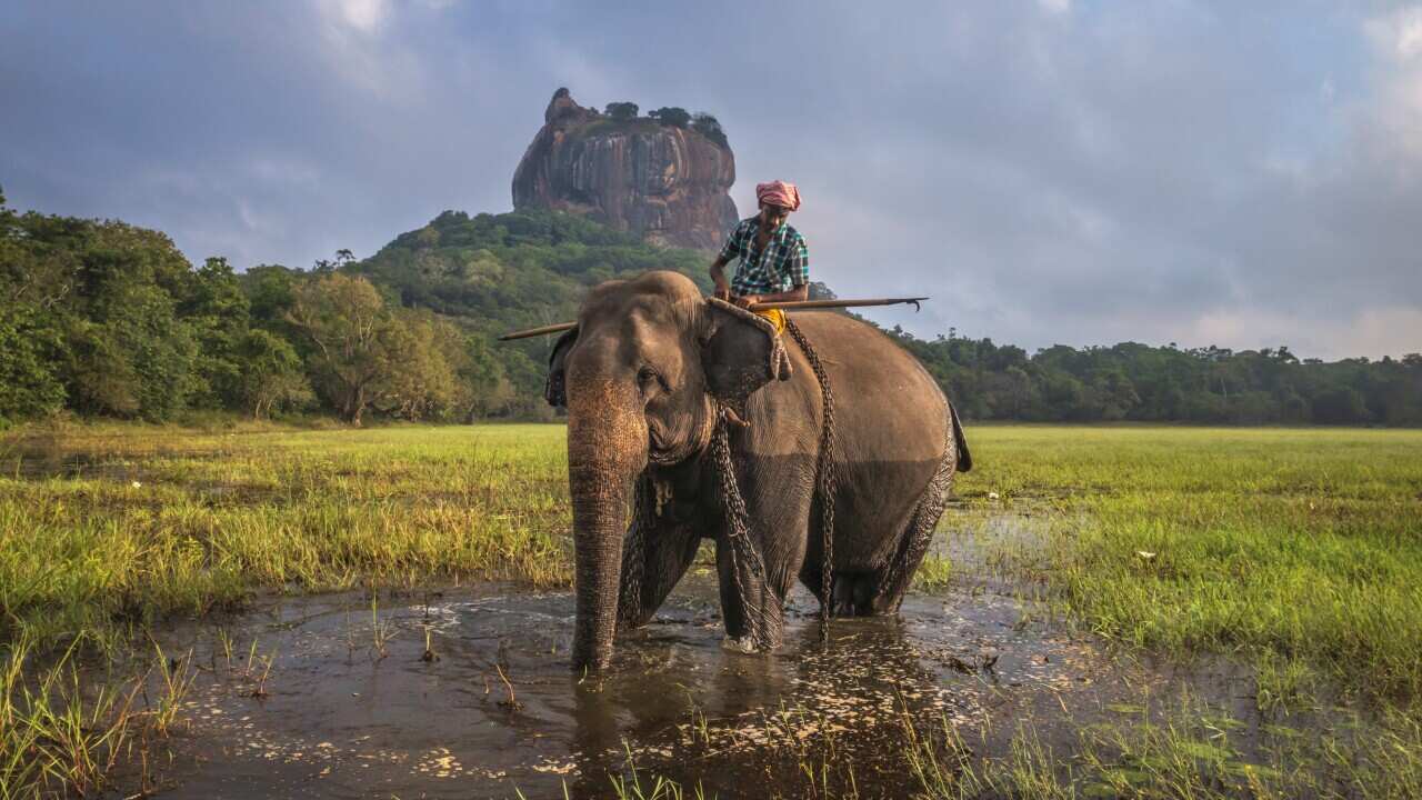 Forbes lists Sri Lanka as one of the 23 best places to visit in 2023