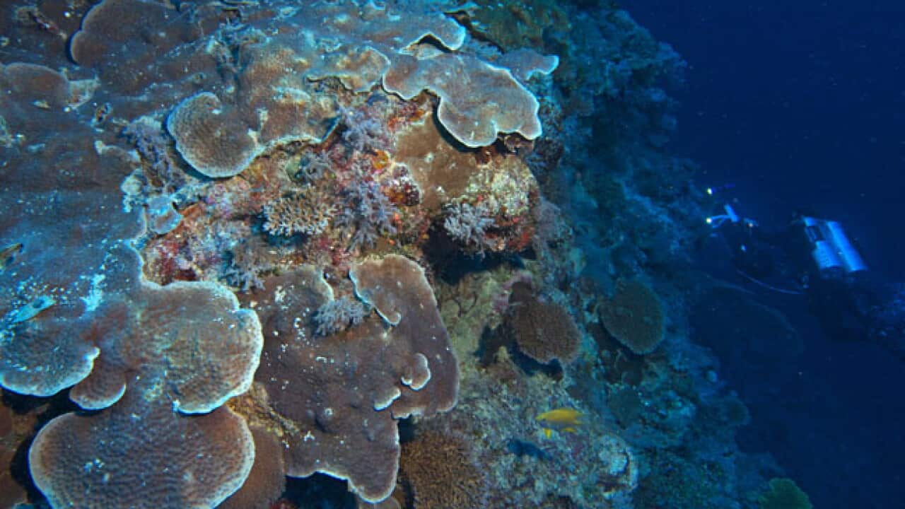 great_barrier_reef_130305_aap_l_1303340656