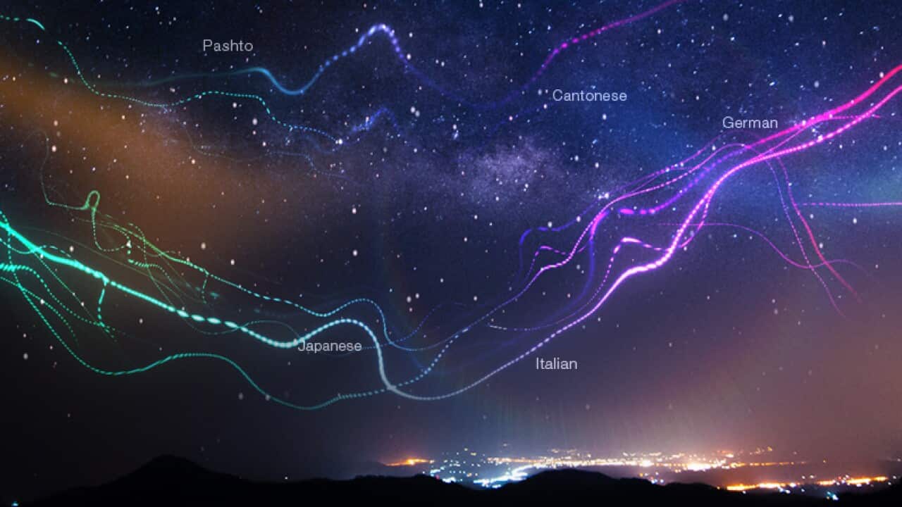 SBS Radio Services Review