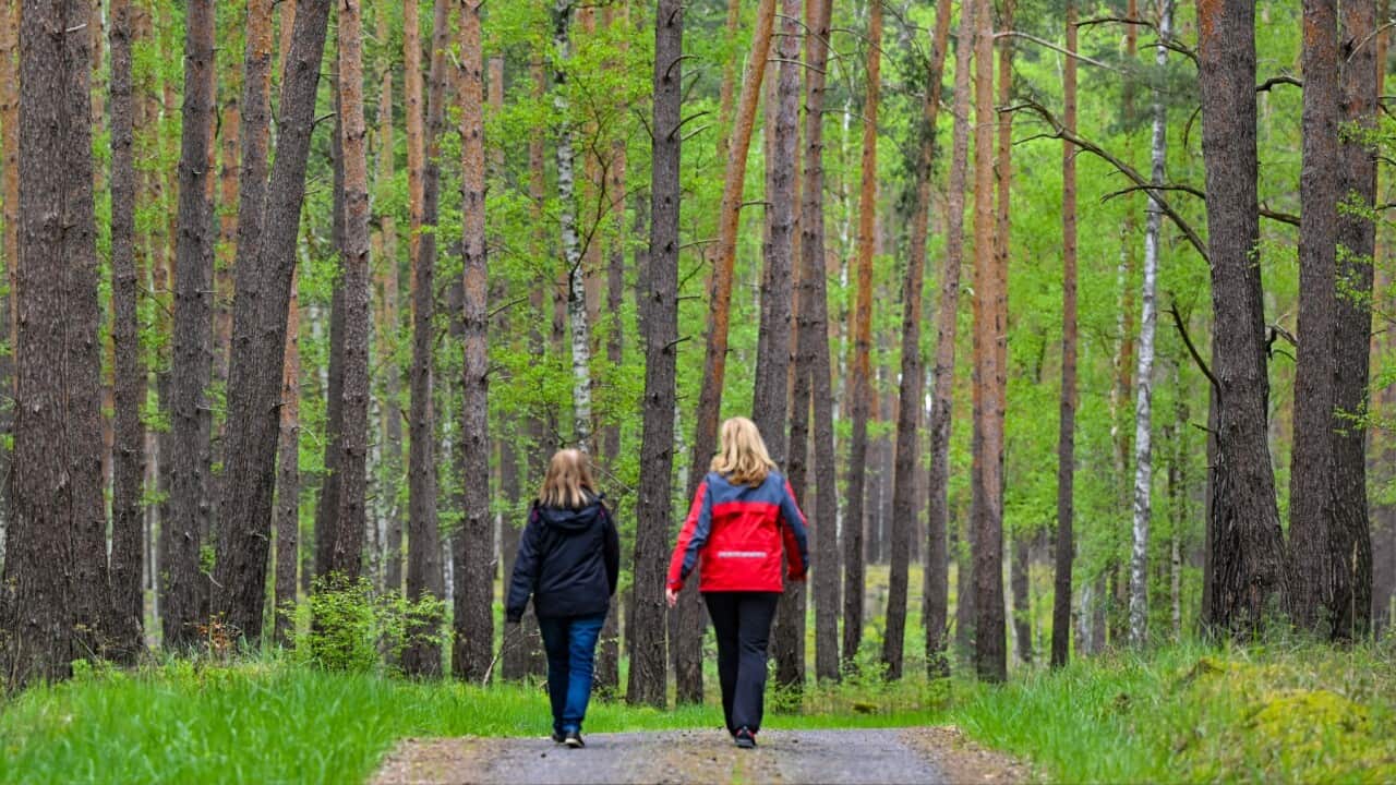 Two women are walking on a path in the forest (Getty).jpg