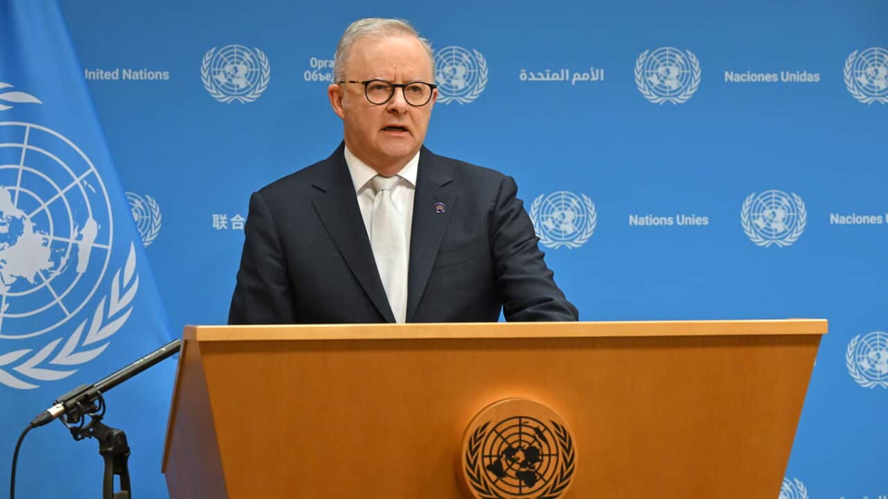 ANTHONY ALBANESE UNITED STATES VISIT