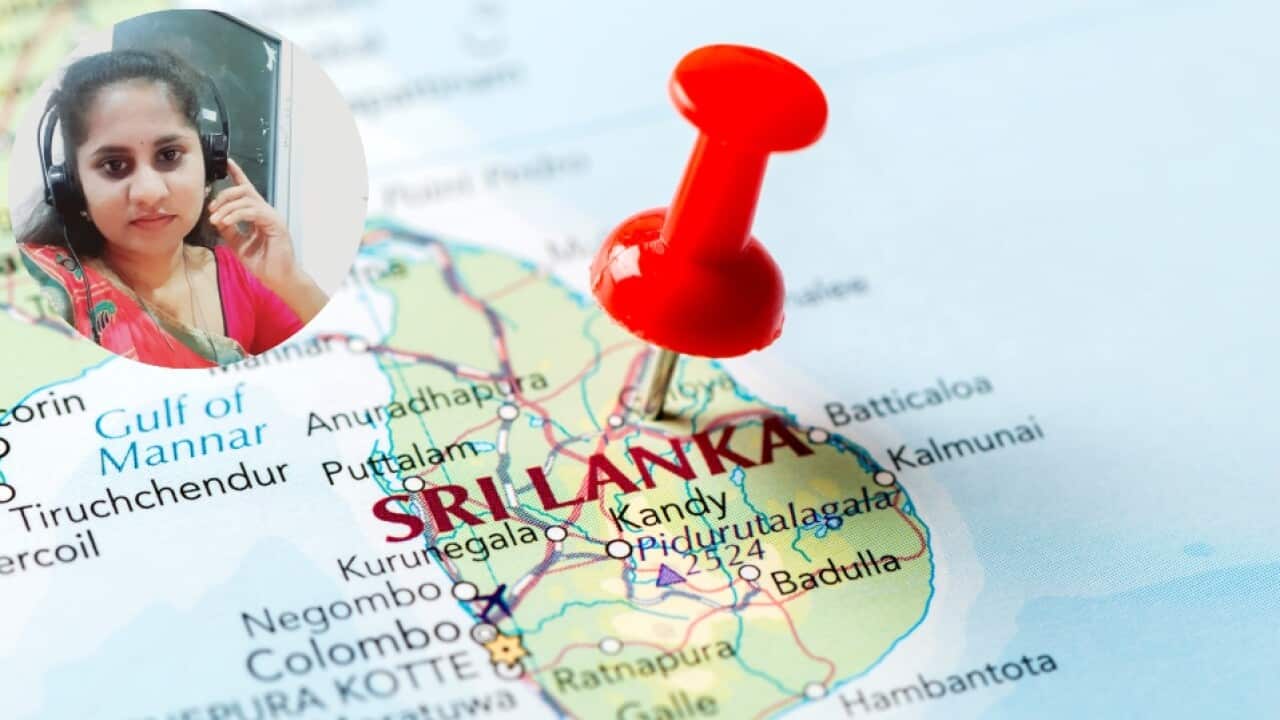Jaffna Report.jpg