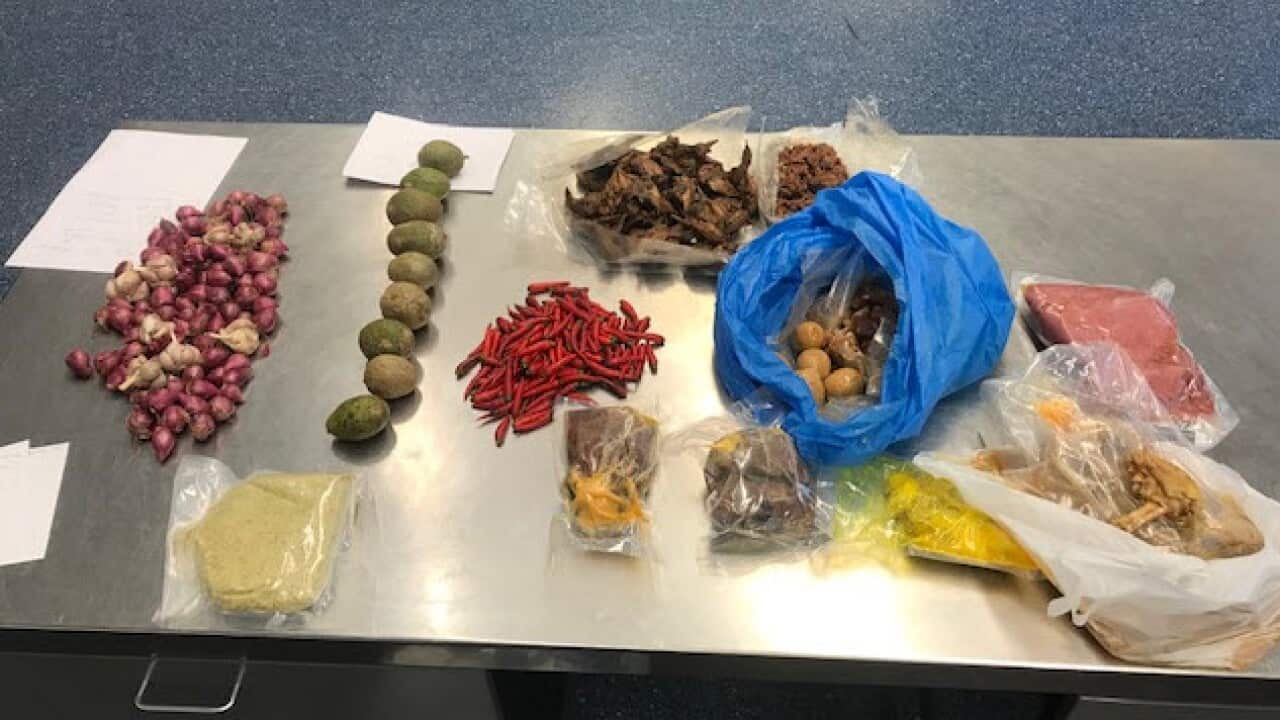 A Vietnamese woman had her visa cancelled for trying to bring pork to Australia.