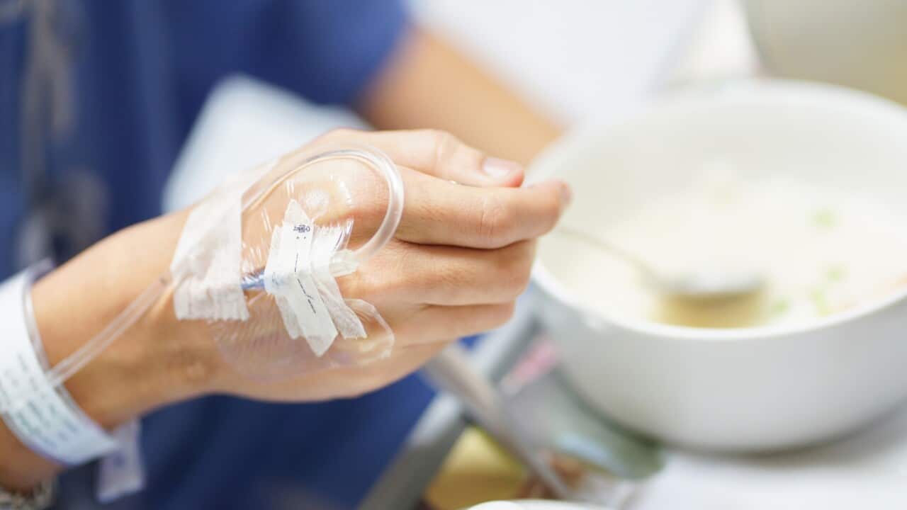 Having a quality diet during chemotherapy can help to feed your healthy cells and maintain your body’s essential physical functions.