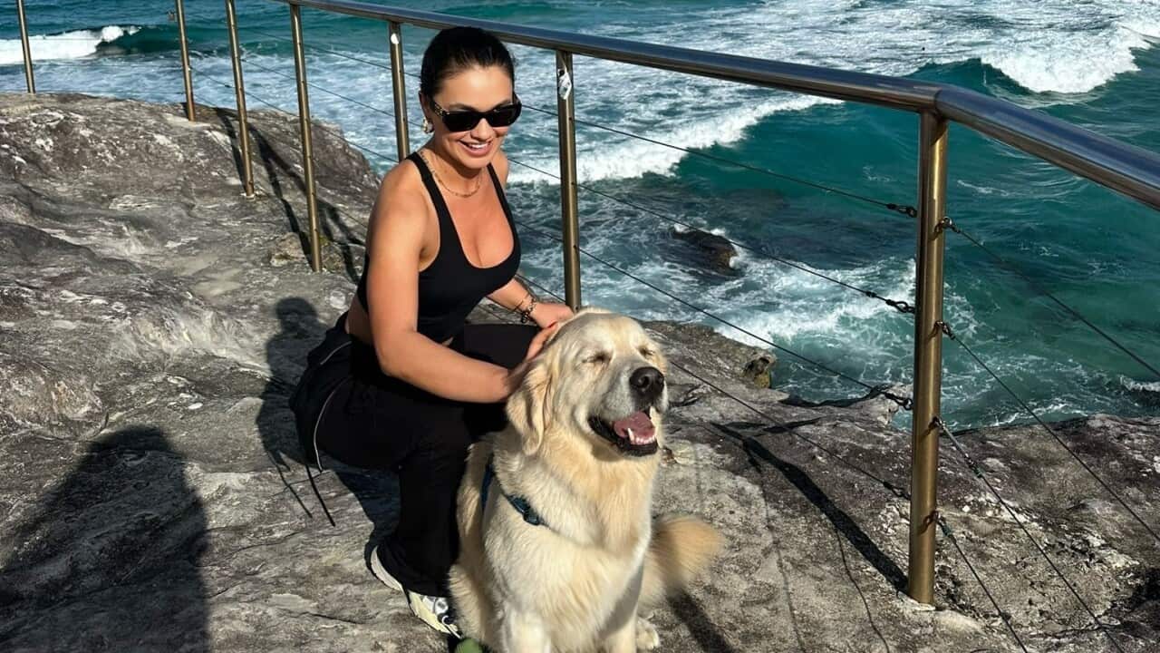 Bel com cachorro.jpg