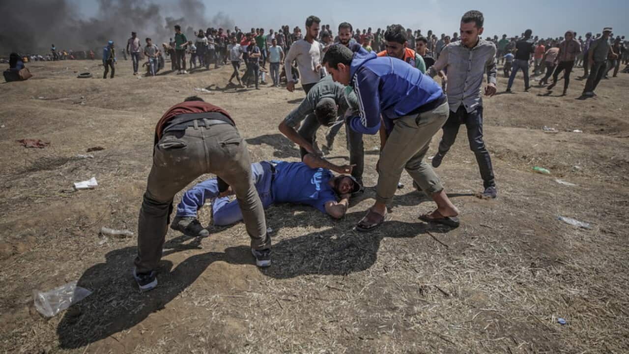 Palestinians protesters