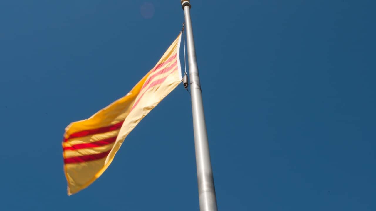 Image for read more article 'READ MORE'