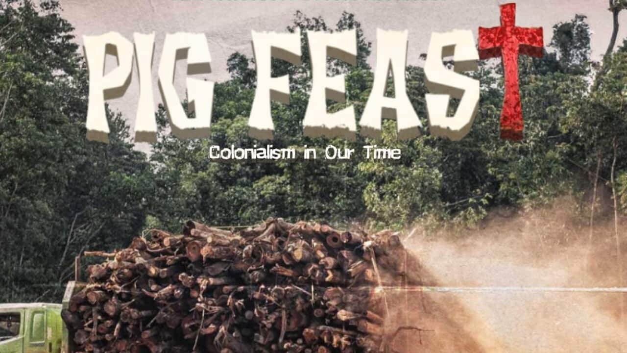 Pig Feast