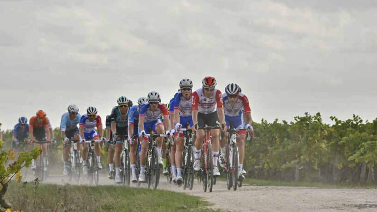 Paris-Tours 2020 Watch on SBS
